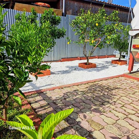 For Nature Lovers Skala Rachoni  Luaran gambar