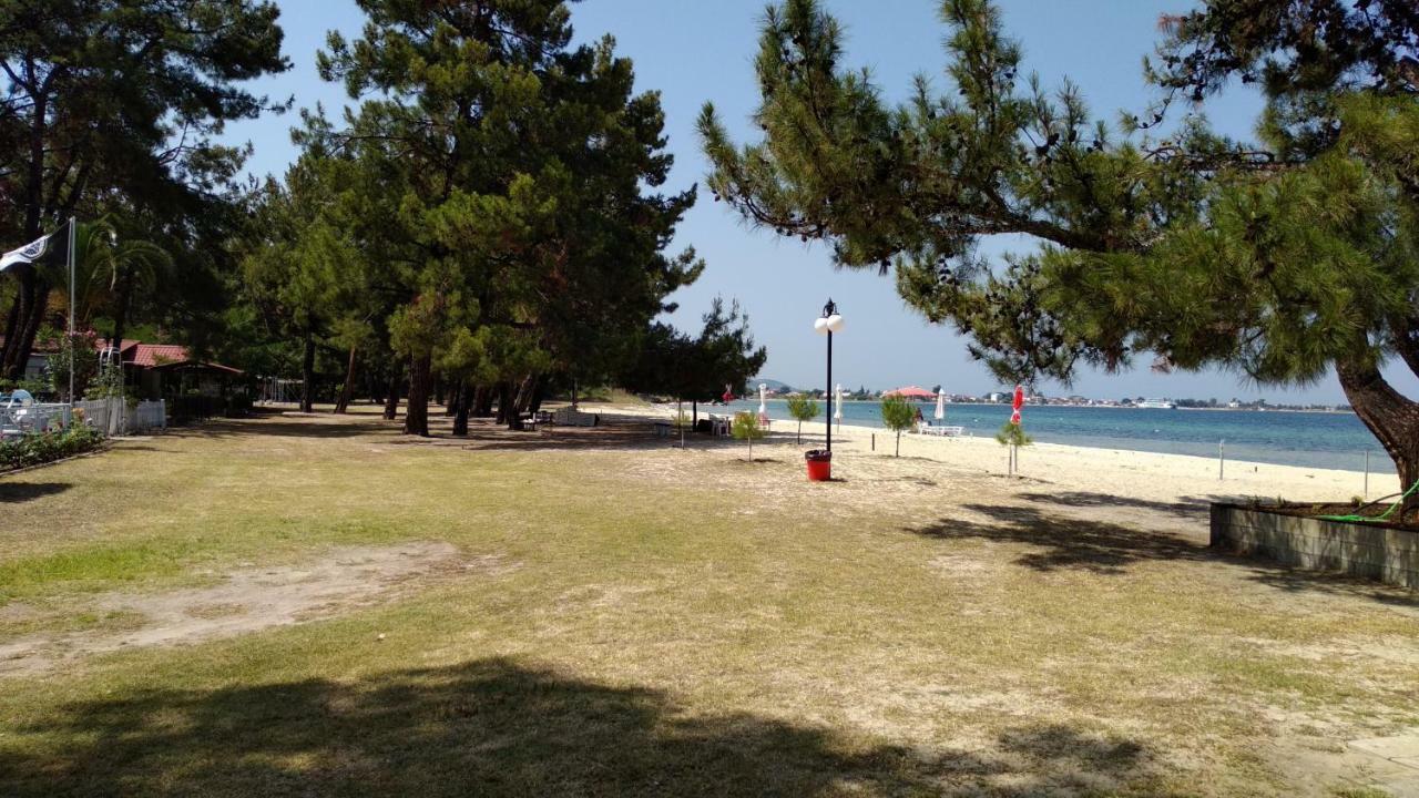 For Nature Lovers Skala Rachoni  Luaran gambar